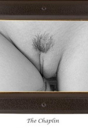 Киски прически фото 4